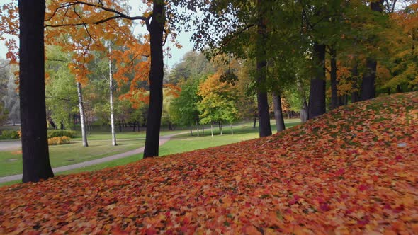 The Beauty of an Autumn Park in St