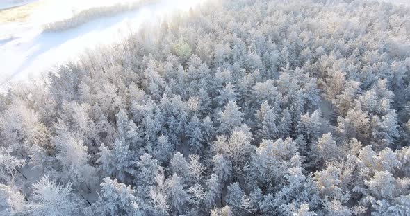 A Sunny Winter Day