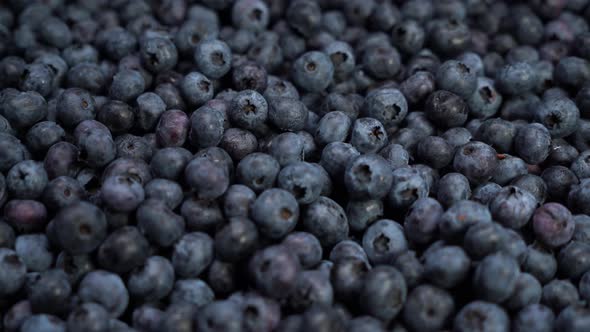 Fresh Blueberries, Fruit Background Delicious Tasty Barry Lay on the Ground.