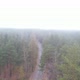 Forest Foad In Dense Fog - VideoHive Item for Sale