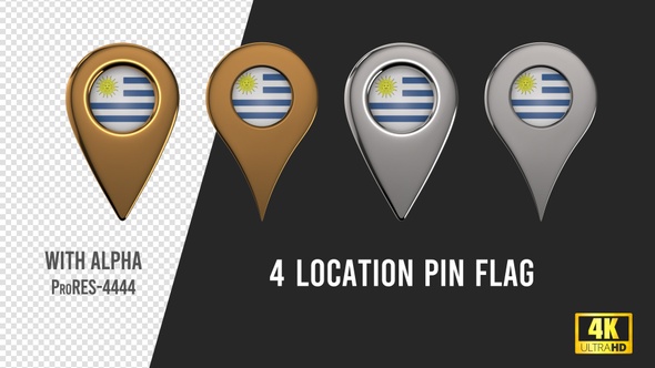 Uruguay Flag Location Pins Silver And Gold