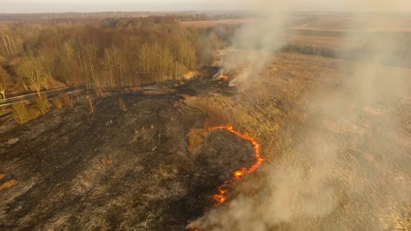 The burning field in spring, view from a drone