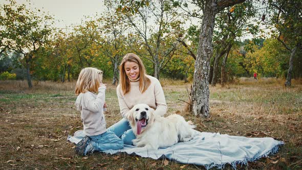 Young Mum and Little Daughter Sitting on Picnic Blanket Smiling and Stroking Their Dog During Walk