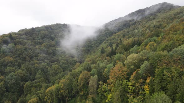 Nature of Ukraine: Carpathian Mountains Slow Motion. Aerial View