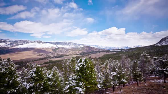 Yellowstone National Park Landscape