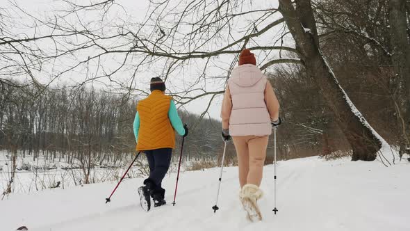 Women Actively Practice Nordic Walking with Trekking Poles in a Snowy Forest