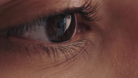Eye Health Vision Correction Macro Open Brown Iris