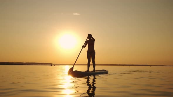 Siluet of Woman Standing on SUP Board and Paddling Through Shining Water Gold Surface
