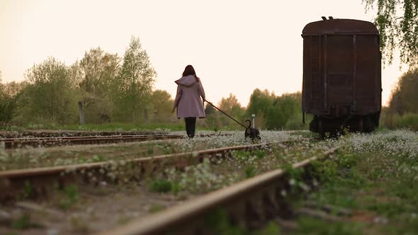 Cute Woman Walking Her Dog at Old Abandoned Railway