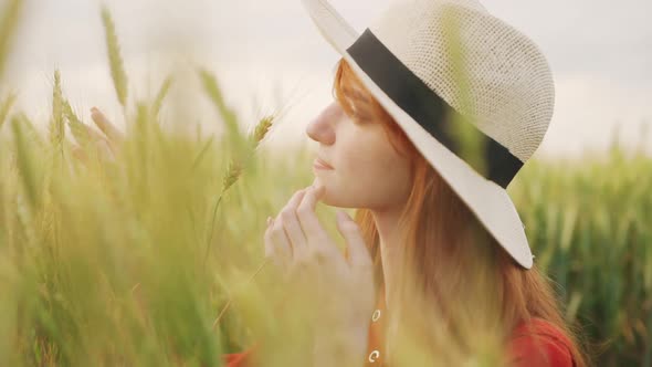 Close Up of Romantic Ginger Girl Redhead Touching Wheat Ears on Field with Dreamy Smile Summertime