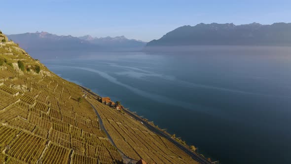 Flying high over typical houses in Lavaux vineyard (Clos des Moines and Les Abbayes).Lake Léman and