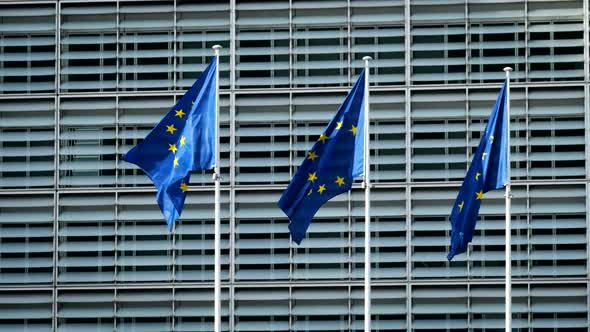 EU Flags in Front of European Commission