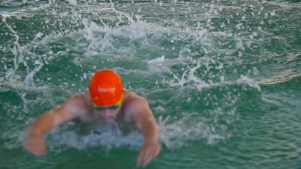 Swimmer Performing The Butterfly Stroke