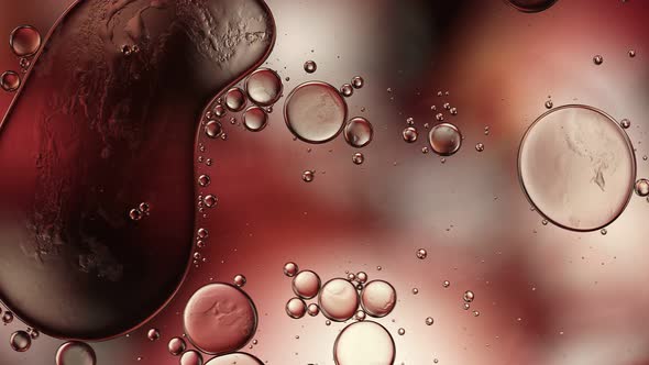 Abstract Colorful Food Oil Drops Bubbles 270 alt