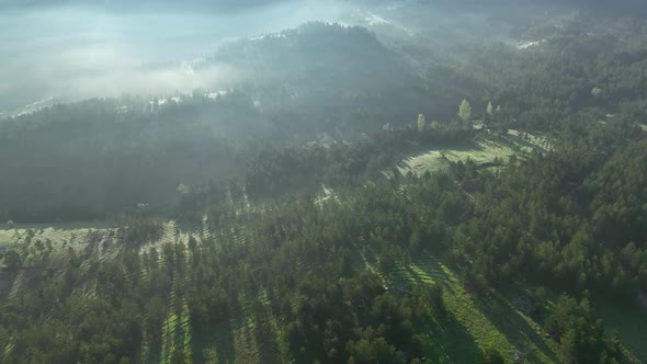 Foggy morning in the mountains aerial view 4 K Turkey