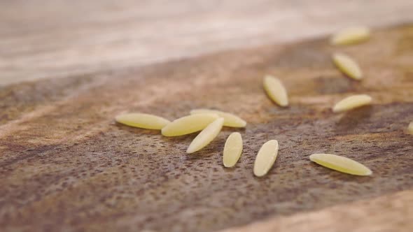 Dry peeled whole cereal barley falling on a wooden surface. Macro