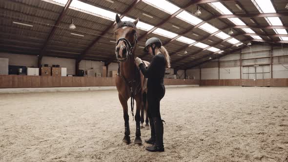 Woman In Riding Gear Fixing Bridle To Horse In Paddock