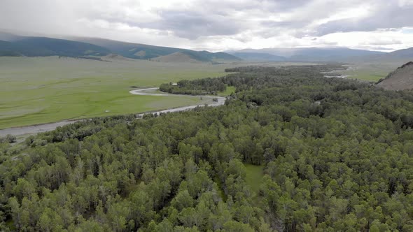 Trees, Forest and Vast Meadow in The Big River in Wide Valley of Asia Geography