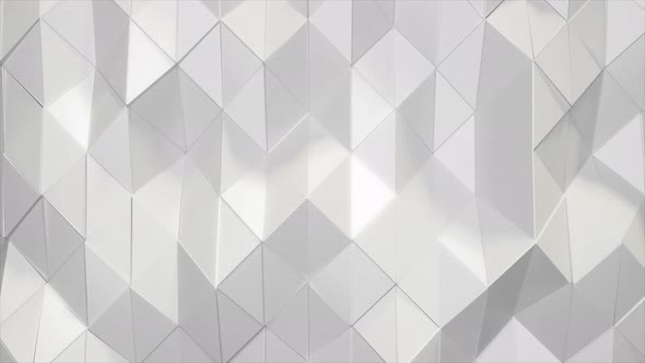 Polygonal Geometric Surface Loop