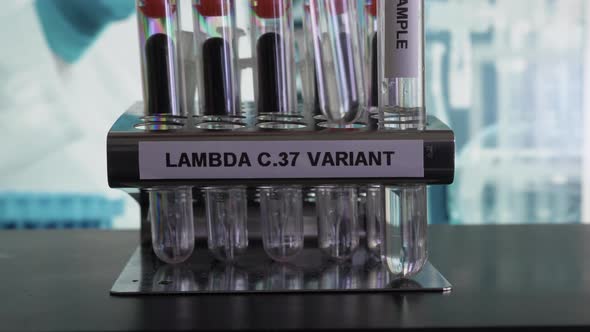 Lambda C37 Variant Test Tube Samples Being Placed In Rack. Locked Off