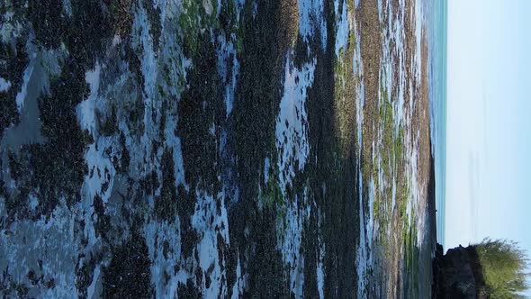 Vertical Video of Low Tide in the Ocean Near the Coast of Zanzibar Tanzania Aerial View