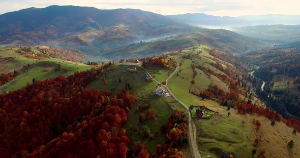 Aerial Shot Mountain Forest