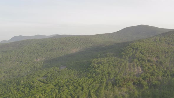 Forest landscape around Katahdin Ironworks in Maine, USA