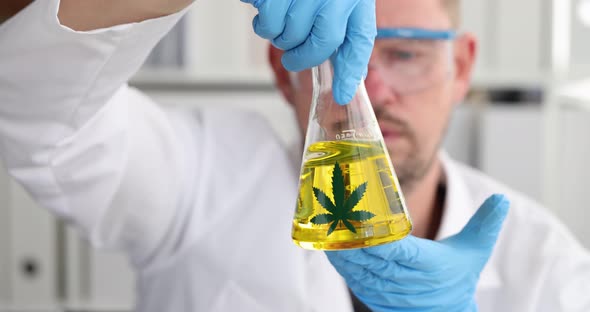 Male Chemist Examines Marijuana Oil in Laboratory Slow Motion  Movie