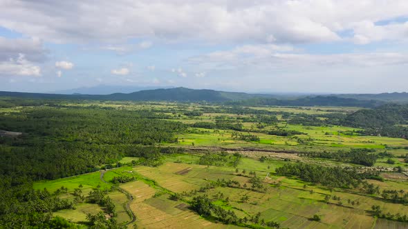 Landscape with Farmland and Rice Fields. Tropical Landscape in the Countryside, Aerial View.