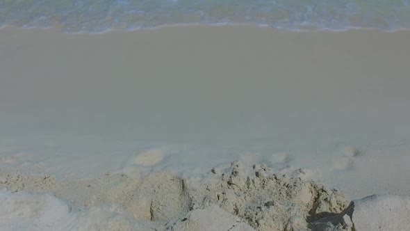 Close up scenery of tropical coast beach wildlife by sea with sand background near sandbank