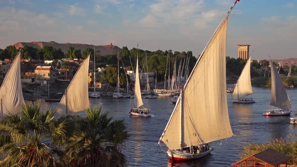 Felucca Boats on Nile River in Aswan Egypt