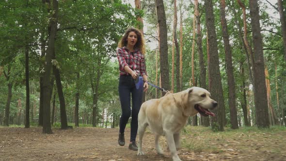 Beautiful Girl Walks with the Dog