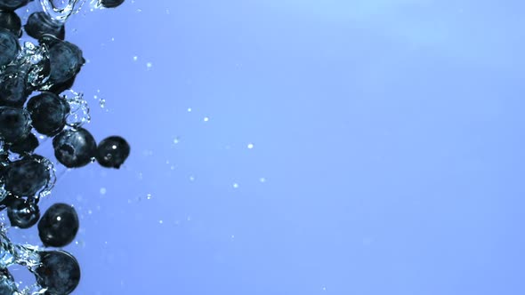 Blueberries in water, Slow Motion alt