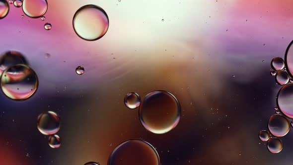 Abstract Colorful Food Oil Drops Bubbles 203