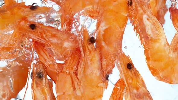 Super Slow Motion Shot of Fresh Shrimps Falling and Splashing Into Water on White at 1000 Fps