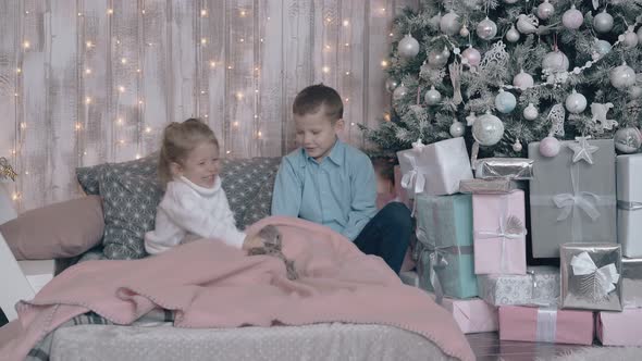 Adorable Siblings Play Hide and Seek with Toys on Cozy Bed