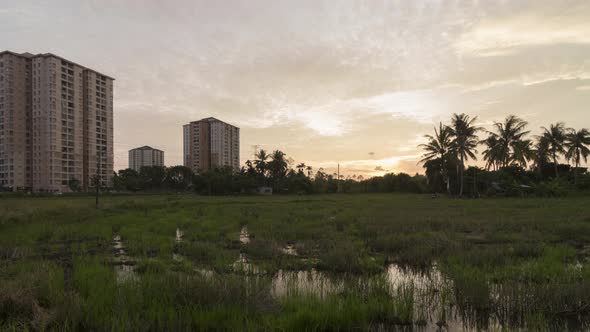 Timelapse sunset rice fields