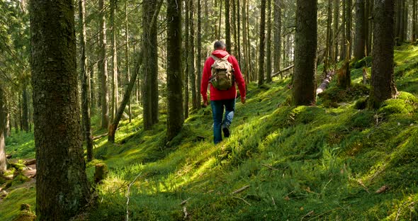 Tourist Guy with Backpack Hiking on an Adventure Trip in Natural Landscape