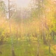 Forest Morning Sun Rays Light Jungle Green Grass Nature Wood Outdoor - VideoHive Item for Sale