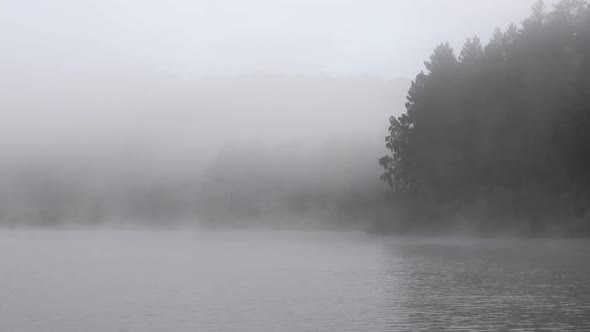 Foggy Morning on River