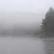 Foggy Morning on River - VideoHive Item for Sale