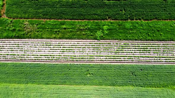 Aerial drone view of a flying over the rural agricultural landscape.