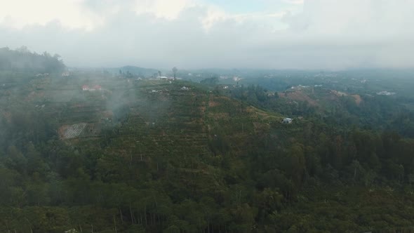 Farmland in the Mountains in the Cloud. Bali,Indonesia.