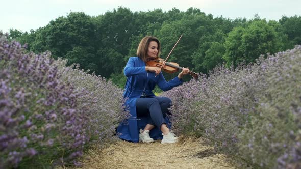 Full Body Adult Woman Violinist Playing Violin and Sitting on Lavender Field