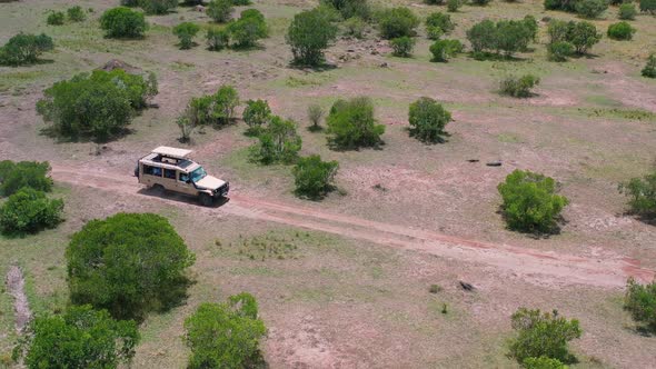 Safari Tour in the Wild