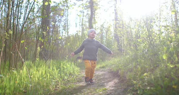 A 2-Year-old Caucasian Boy Walks in Slow Motion Along Forest Paths in a Pine Forest. Walks in the