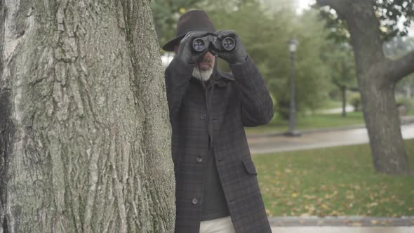 Professional Intelligencer or Spy Standing Behind Tree and Using Binoculars. Portrait of Confident