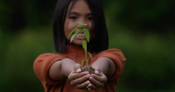 Girl planting young tree