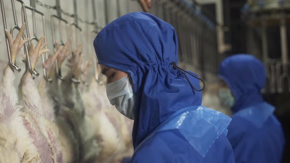 Muslim Men in Masks Work in Halal Chicken Meat Industry