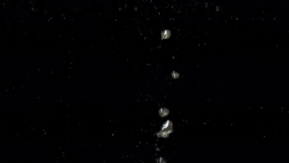 Air Bubbles in Water Rising Up to the Surface on Isolated Black Background